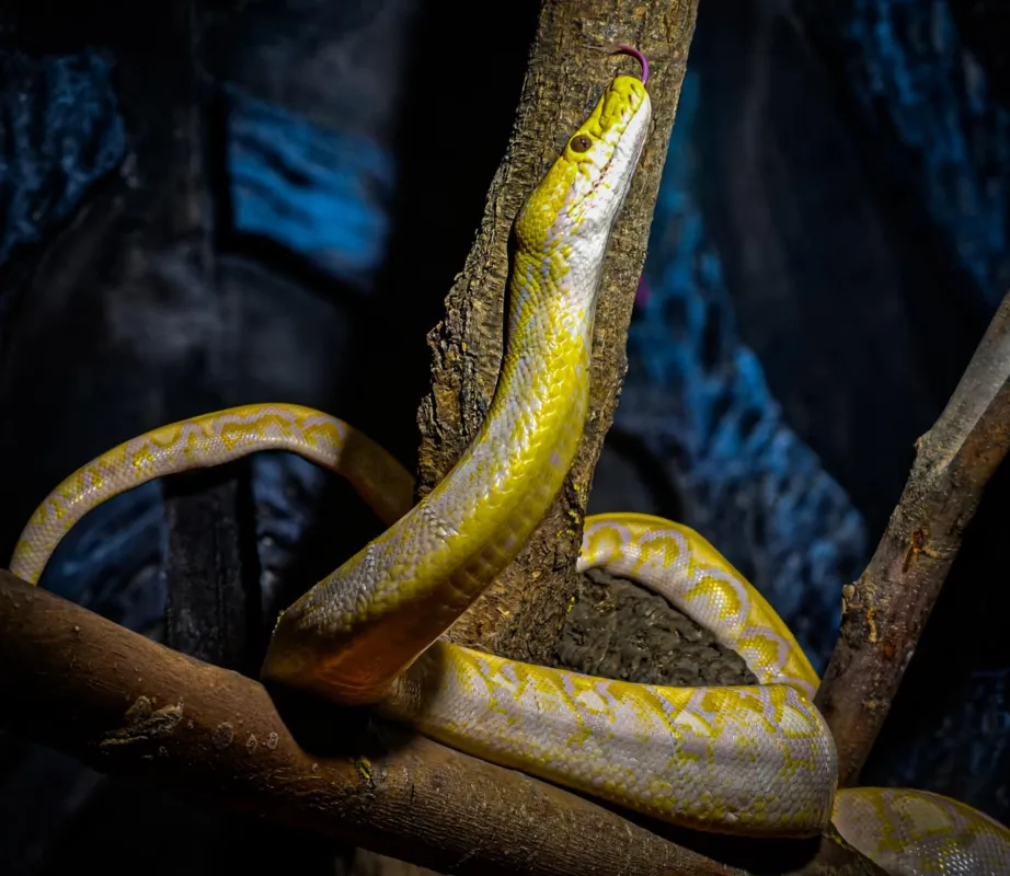 Mini zoo Papugarnia Gdańsk